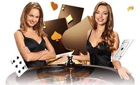 onebra bet onebra bet